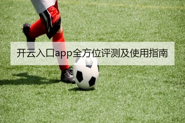 开云入口app全方位评测及使用指南