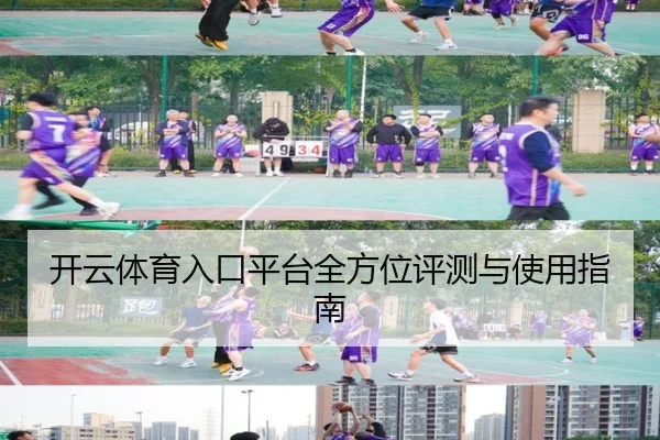 开云体育入口平台全方位评测与使用指南